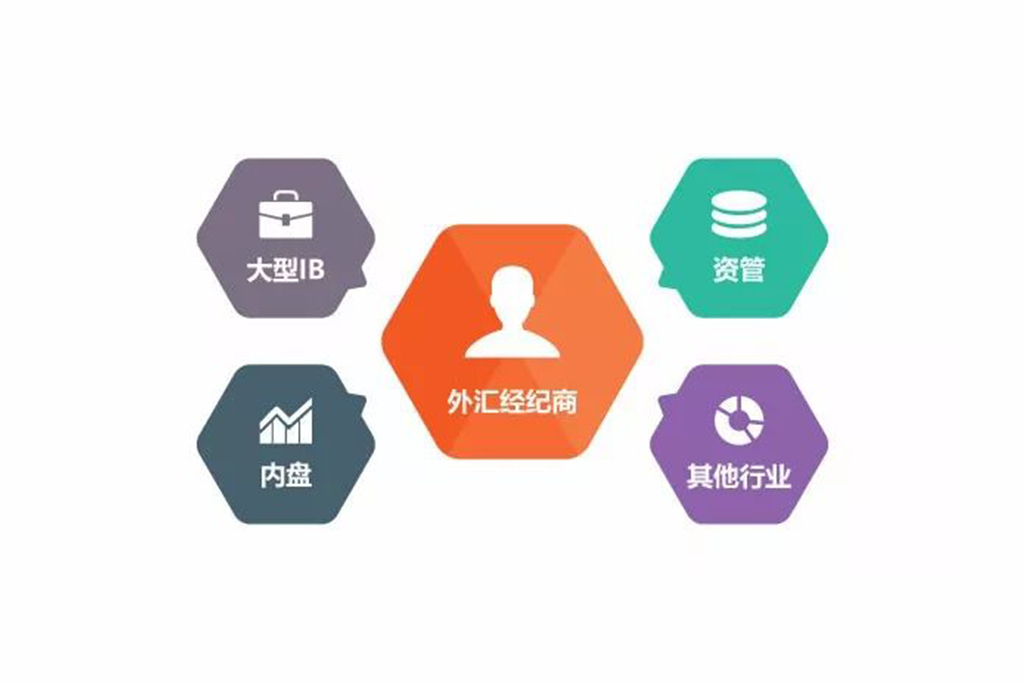 谁适合搭建外汇平台